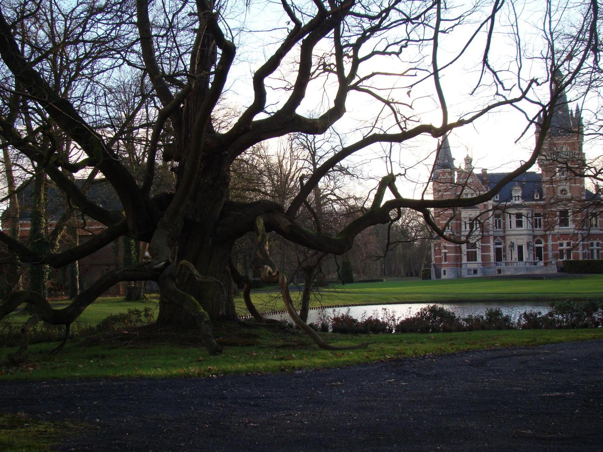 B&B Sogni D'Oro Lovendegem Exterior photo